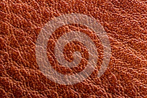 Leather background texture. Closeup of genuine red brown leather detail for design work. High resolution image or macro