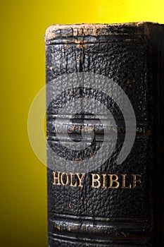 Leather bible spine
