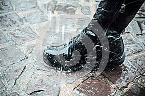 Piel zapato en la lluvia sobre el cabeza de gato 