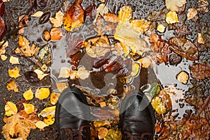 leather boots in a puddle in autumn in the park
