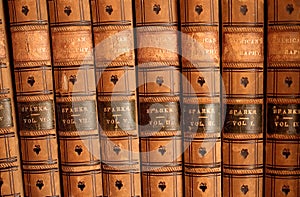Leather Bound Books photo