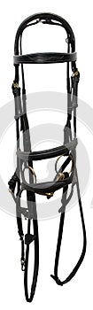 Leather bridle in black with a double capsule on a white background