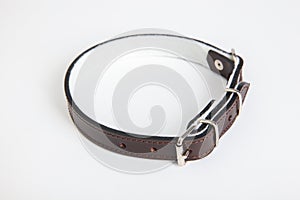 Leather brown dog collar