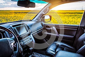 Leather car seat interior with sunset in the windows. Blooming rape field