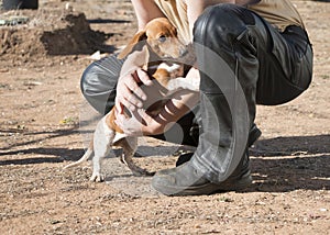 Leather-clad man and cute dog companion