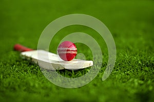 Leather Cricket ball resting on a cricket bat placed on green grass cricket ground pitch