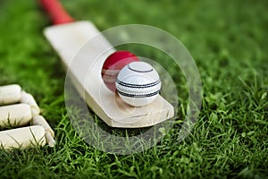 Leather Cricket ball resting on a cricket bat placed on green grass cricket ground pitch