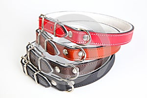 Leather dog collars