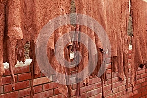 Leather drying on the ropes in old Tannery of Tetouan Medina.