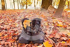 Leather hiking boots gear autumn fall forest hike