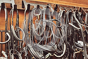 Leather horse bridles and bits hanging on wall of stable with one missing