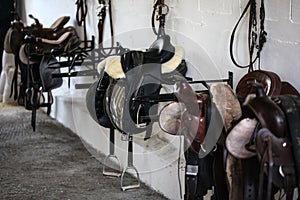 Leather horse saddles and equipment resting on hangers in tack r