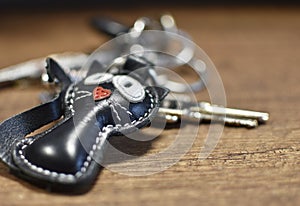 Leather key ring  cat and keys