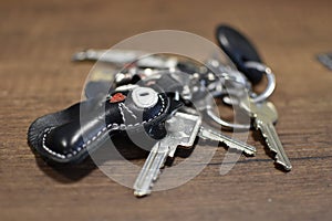 Leather key ring  cat and keys