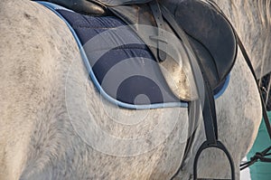 Leather saddle for equestrian sport on gray horse