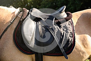 Leather saddle with stirrups on horse, closeup