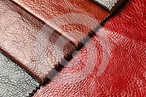 Leather samples of different colors for interior design