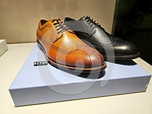 leather shoe on display