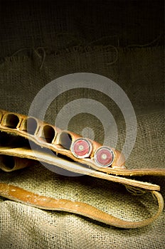 Leather shotgun cartridge belt