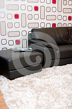 Leather sofa in stylish home