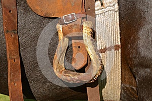 Leather stirrup on a saddled horse