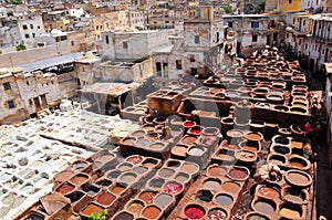 Leather tanning in Fez - Morocco