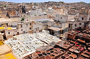 Leather tanning in Fez - Morocco