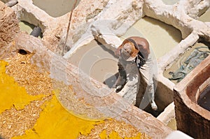 Leather tanning in Fez , Morocco
