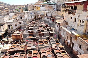 Leather tanning in Fez , Morocco