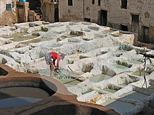 Leather tanning in Fez, Morocco
