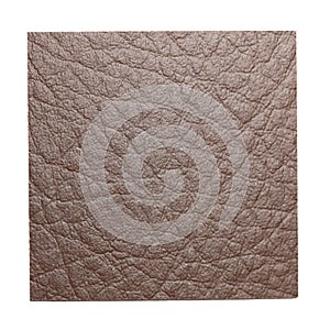 Leather Texture