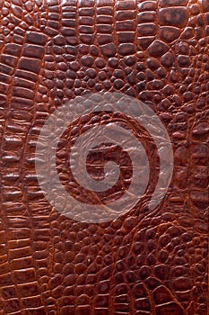 Leather texture