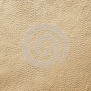 Leather texture