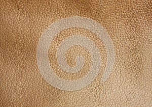 Leather texture