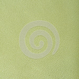Leather texture
