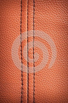 Leather texture with selvage