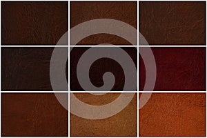 Leather texture set in several shades of Brown