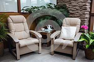 Leather upholstered armchairs in psychologist s office, creating a cozy ambiance with indoor plants