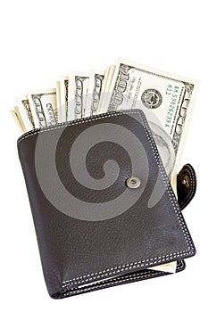 Leather wallet with dollars inside