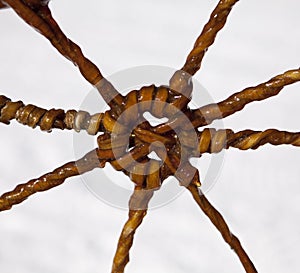 Leather Webbing on Dog Sled photo