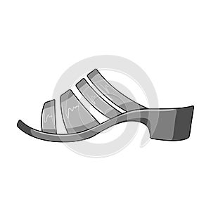 leather women summer heels. Shoes for walking in the Park .Different shoes single icon in monochrome style vector