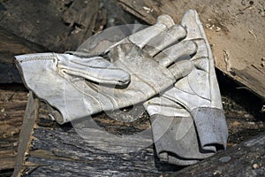 Leather working gloves on a pile of stumps