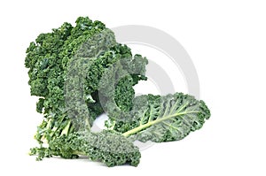 Leave of kale cabbage