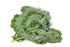 Leave of kale cabbage
