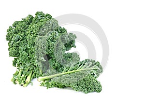 Leave of kale cabbage