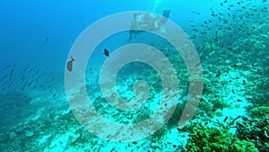 Leave the worries of the land behind. 4k video footage of a young man and woman scuba diving in the ocean.