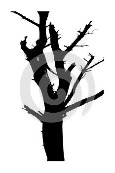 Leaveless Tree Silhouette