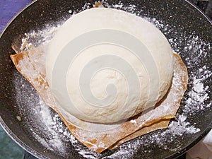 Leavened bread dough in tray with baking paper photo