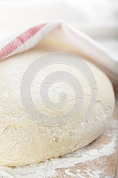 Leavened dough photo