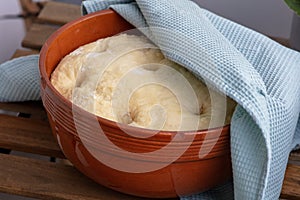 Leavened dough in ceramic bowl